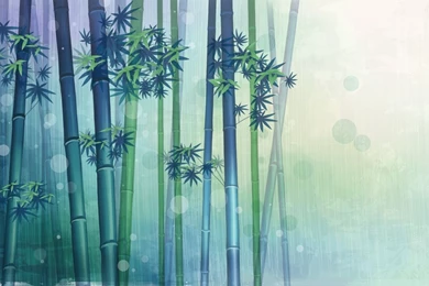 Bamboo Forest MacBook Pro Wallpapers HD