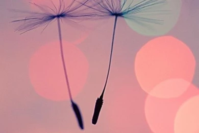 50+ Examples Of iPhone 5 Wallpapers