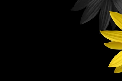 Simple Desktop Backgrounds Wallpapers Cave