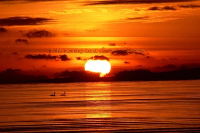 Gallery For   Lord Sun Wallpapers