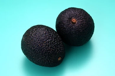 Avocado Fruits For Health Pics