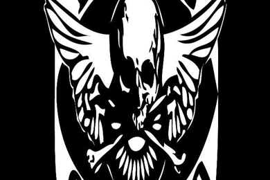 iPhone 4 Southern Rock Wallpapers Allman Brothers & Lynyrd ...