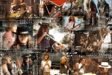 Skynyrd Wallpapers!!!