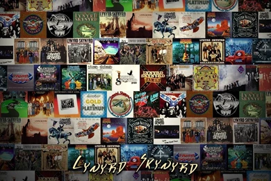 Lynyrd Skynyrd Album Art