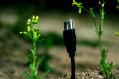 Ee24b09c75af08d4435cc9e80bb Full Wallpapers   (