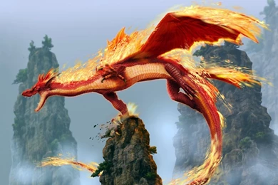 Full HD Dragon Wallpapers   Splendid Wallpapers HD