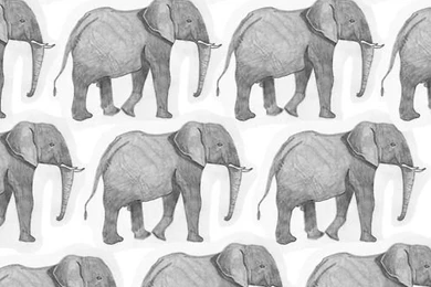 Elephant Pattern Iphone Wallpapers
