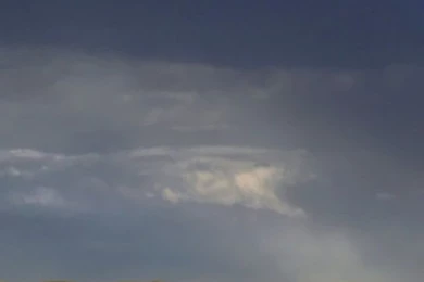 Elephants iPhone 5 Wallpapers