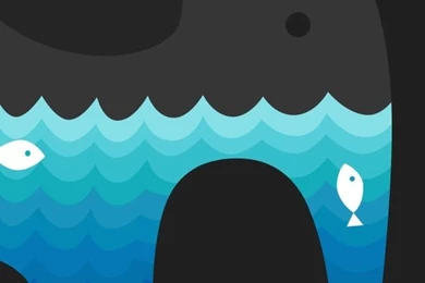 Abstract Elephant And Water Fish iPhone 5s Wallpapers Download ...