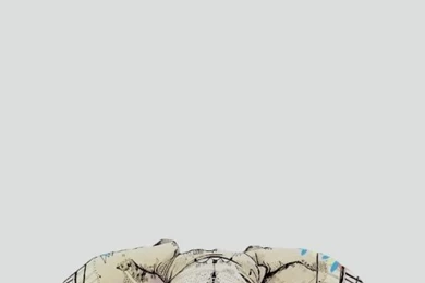 Elephants Wallpapers