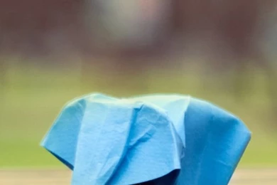 Elephant iPhone 5s Wallpapers