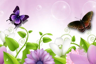 Lavender   Full HD Wallpapers Search   Page 1