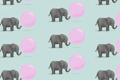 Elephant Blowing Bubble Gum iPhone Wallpapers   Animal Wallpapers