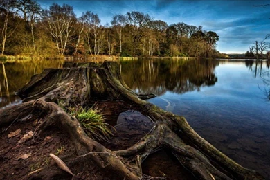 Relaxing And Inspiring Chill Out & Lounge Backgrounds Music With HD ...