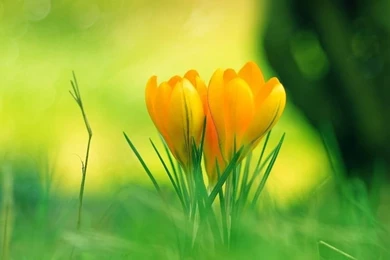 New HD Background Pics Free 8.jpg