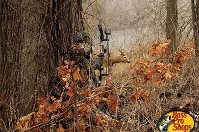 HD Archery Desktop Wallpapers / Wallpapers Database