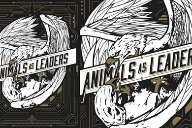 Blaine Levy Graphics   Designer, Coder, Illustrator