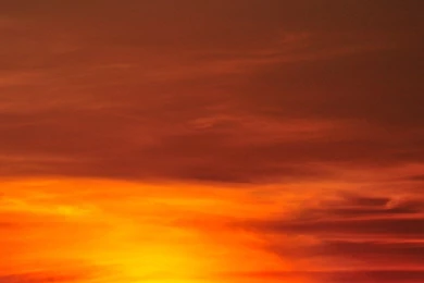 Gallery For   Android Wallpapers Size Vertical