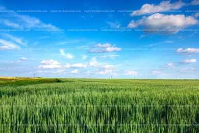 Sky Backgrounds Wallpapers 167561