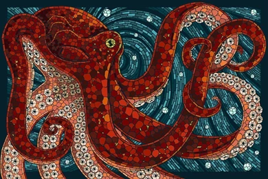 Octopus HD Wallpapers
