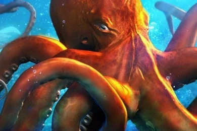 Gallery For   Octopus Iphone Wallpapers