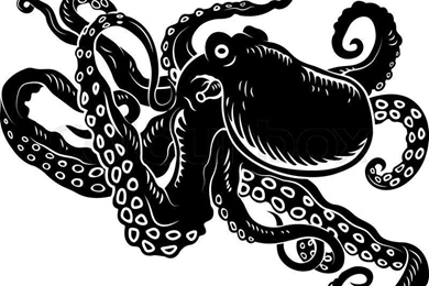 Vector   Nice Octopus Isolated On Backgrounds