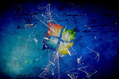 Wonderful_hd _desktop _wallpaper _1920x1080.jpg