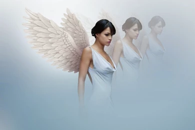 Beautiful Wallpapers Collection 2014   Beautiful Desktop ...