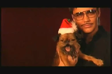 Gunther – Christmas Song – Obscureinternet