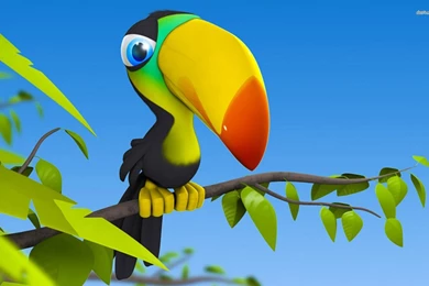 Toucan Wallpapers   Digital Art Wallpapers