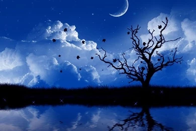 Free Animated Bare Tree At Night Wallpapers For PC Photos Of Free ...