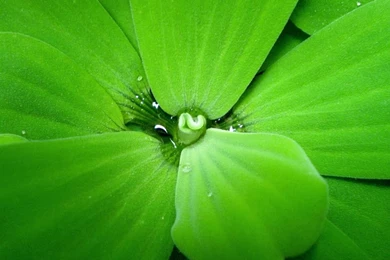 Wallpaperswide9.blogspot.com