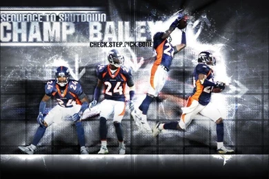 Denver Broncos On Pinterest
