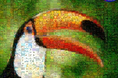 Toucan Animals Free Photographic Mosaic Wallpapers