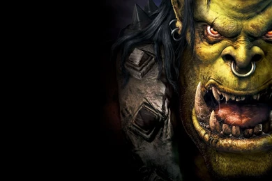 Wallpaper, Warcraft   1481359