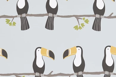 Scion Terry Toucan Wallpapers   Tangerine Charcoal Maize 111270