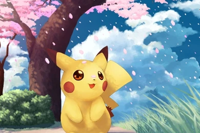 Pikachu   Pokemon Wallpapers   Anime Wallpapers