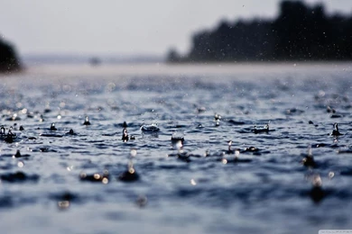 Rain Drops HD HD Desktop Wallpapers : High Definition : Fullscreen ...
