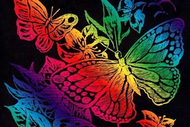 Colorful Butterfly HD Wallpapers