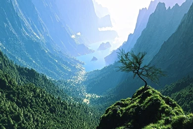 HD Wallpapers For PC Free