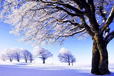 Free Downloadable Wallpapers For PC Cool Wallpapers Photos Of Where ...