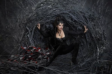 Regina, Better Known As The Evil Queen Computer Wallpapers ...