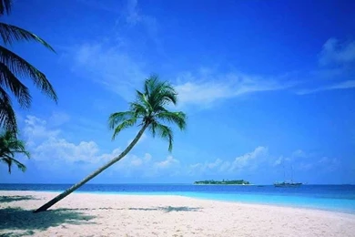 Magazines time: PC Wallpapers,3d Wallpapers For PC, Download Free ...