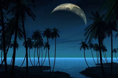 Free Wallpapers Download 1024x768