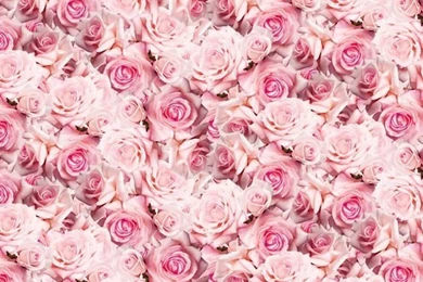 Pink Iphone Wallpapers Tumblr