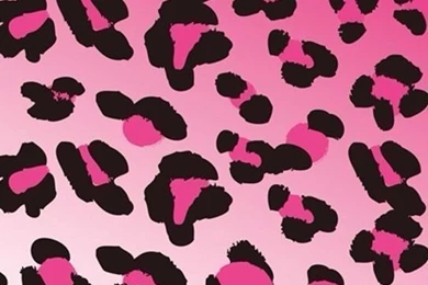 Gallery For   Pink Zebra Iphone Wallpapers