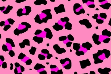 Gallery For   Pink Zebra Iphone Wallpapers