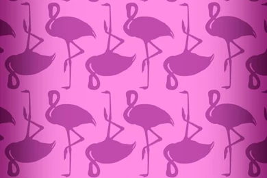 Pink Flamingos iPhone 4s Wallpapers Download
