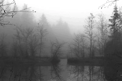 Darkthrone Transilvanian Hunger YouTube