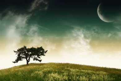 Full HD Wallpapers + Nature, Trees, Green